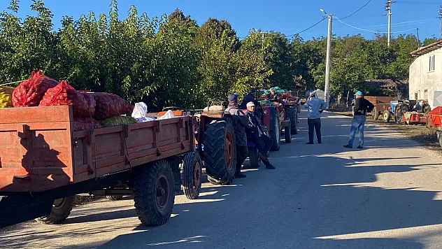 Bilecik'te Dev Hasat! Kilosu 40 TL'den Kapış Kapış Satılıyor