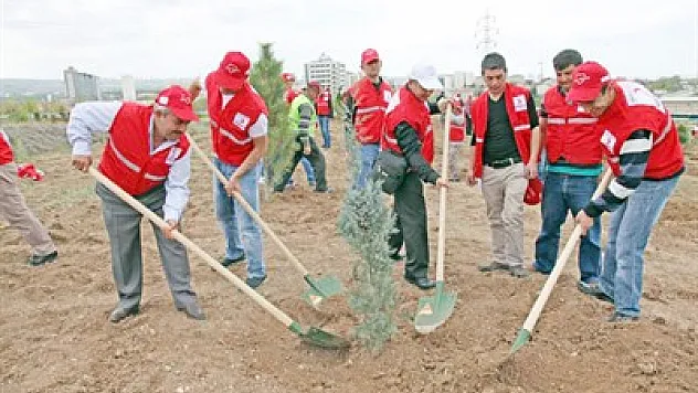 Bir Kan, Bir Fidan’da 4 milyon fidan