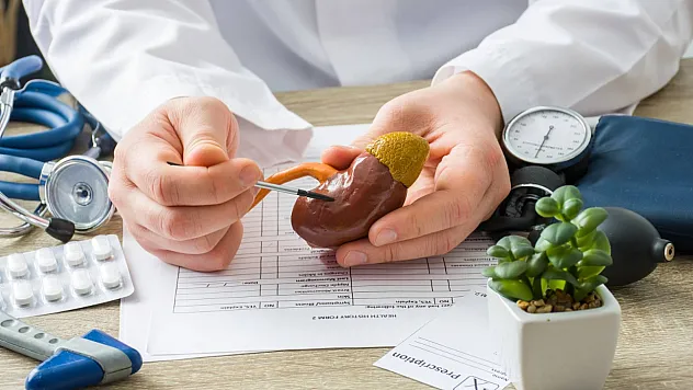 Böbreğinizin Sesini Dinlediniz Mi?