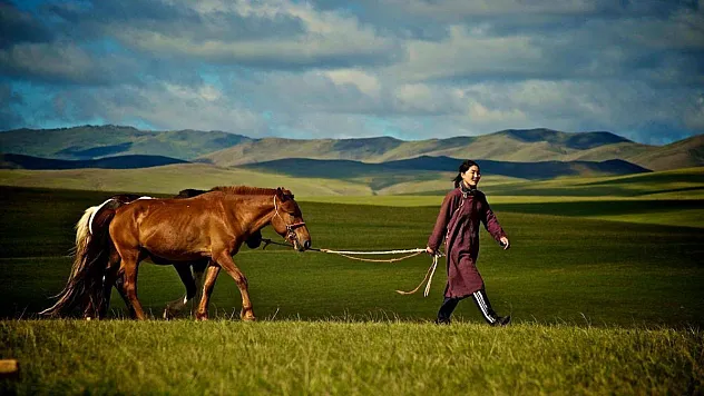 Bolu Hangi Türk Boyu?
