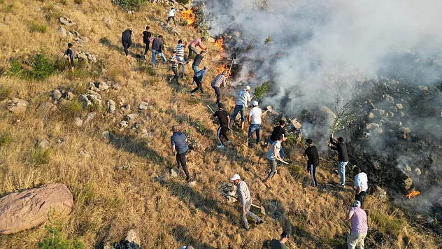 Bolvadin'de Orman Yangını