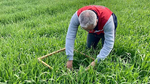 Bolvadin'de Süne Takip Çalışmaları Sürüyor