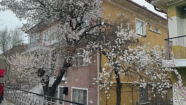 Bolvadin'de Kar Yağışı Etkili Oldu