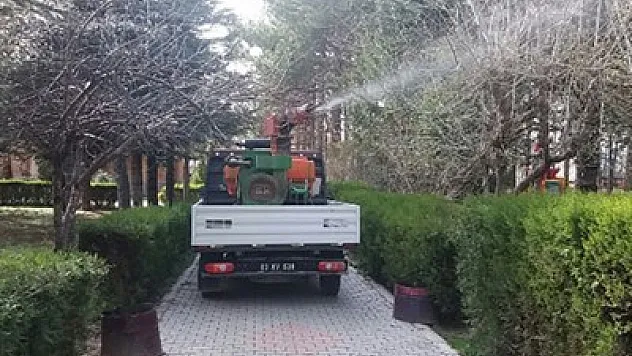 Bolvadin'in dört bir tarafı ilaçlandı