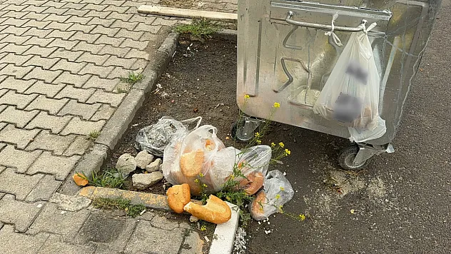 Boş Konteyner Yanına Atılan Çöpler Tepki Çekti