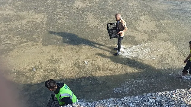 Böylesi Görülmedi! Balıklar Kendiliğinden Geldi