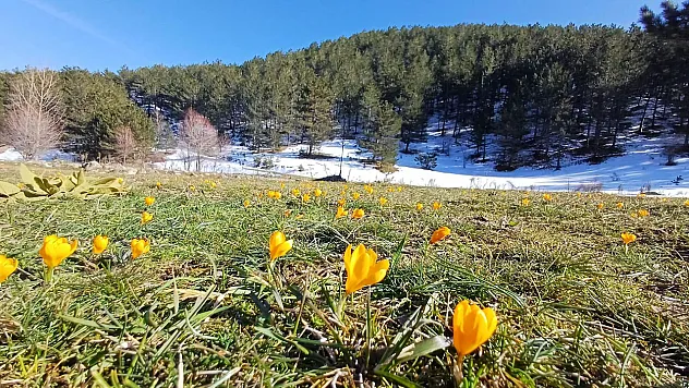 Bu Fotoğraflar Afyon'dan!