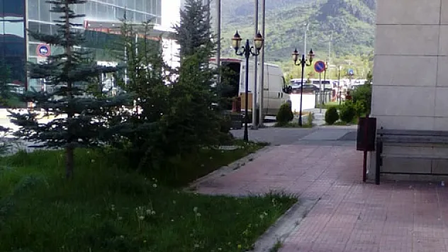 Bu işin 'orta yolu' yok mu?