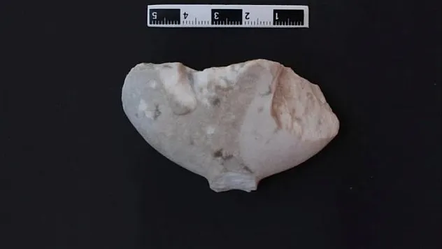 Bu 'Kilya' Tipi Figür Tüm Tarihi Değiştirecek