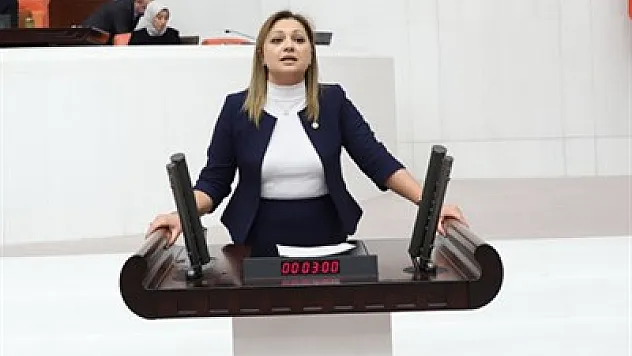 'Bütçe de vatandaş yok, yandaş var'
