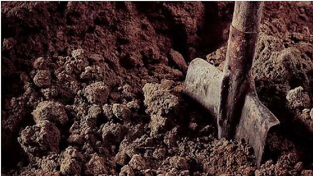 Cenazeler Karışınca, Şehir Ayağa Kalktı