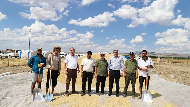 Çobanlar'da Hasat Zamanı… Üreticiler Yalnız Değil