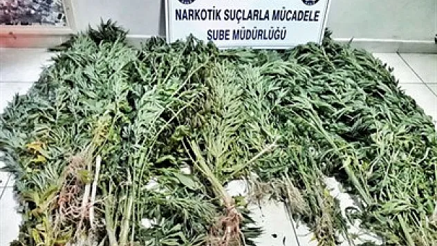 Çobanlar'da uyuşturucu operasyonu – Kocatepe Gazetesi