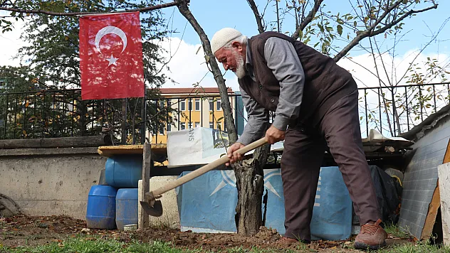 Çöplüğü 15 Temmuz Şehitleri Fidanlığı'na Çevirdi