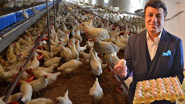 Coşkun Sabah Afyon tavuklarıyla Eskişehir'de tesis kurdu