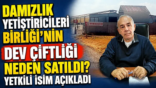 Damızlık Yetiştiricileri Birliği'nin Dev Çiftliği Neden Satıldı? Yetkili İsim Açıkladı