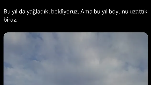 Datça Belediyesi'nden İlginç Paylaşım: 'Bu Yıl Da Yağladık Bekliyoruz, Boyunu Uzattık'