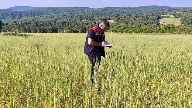 Dazkırı Ve İhsaniye'de Planlı Üretim Saha Kontrolleri Yapılıyor