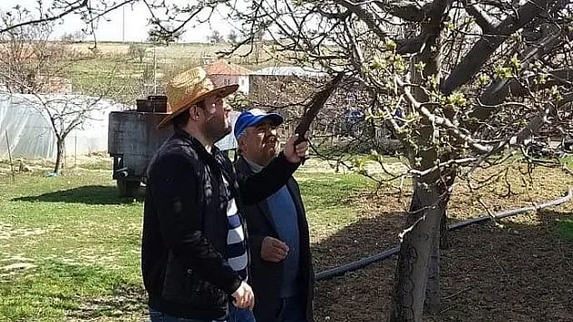 Dazkırı ve Kızılören'de ağaçlarda zararlı kontrolleri ve budama eğitimi yapıldı