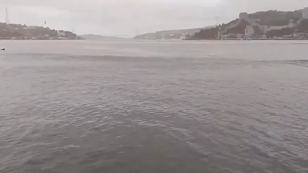 Deprem Sırasında Oluşan Dalgalar Kamerada