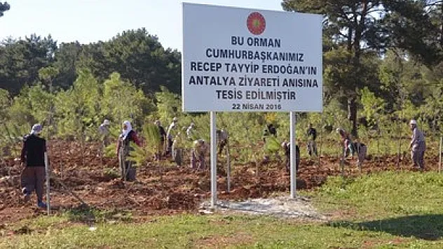 Devlet adamları adına ormanlar kuruluyor