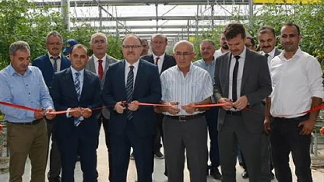 Devlet destekli sera açıldı – Kocatepe Gazetesi
