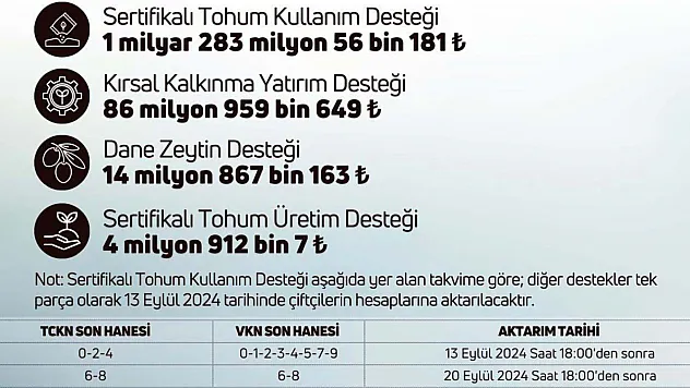 Devlet Paraları Hesaplara Yatırıyor