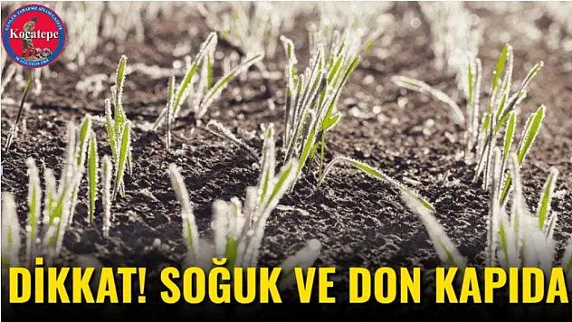 Dikkat! Soğuk Ve Don Kapıda