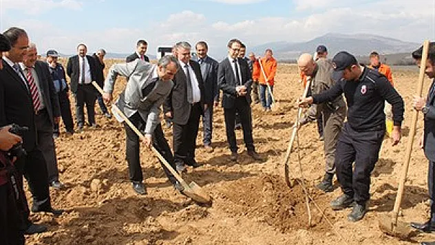 Dinar Cezaevi'nde fidan dikildi – Kocatepe Gazetesi