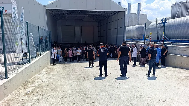 Domates Serasında Zehirlenenlerin Sayısı 33'e Yükseldi