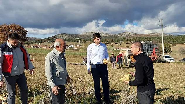 Dumlupınar Kaymakamı Teltik, Şeker Pancarı Hasadını Yerinde İnceledi