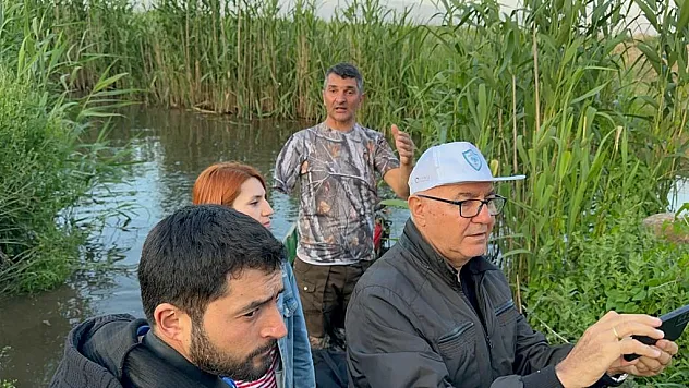 Eber Gölü kurursa, tescilli manda kaymağı üretimi tehlikeye girecek