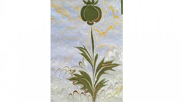 Ebru festivali düzenlenecek