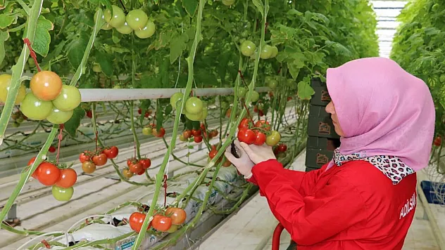 Eksi 20 derecede dahi üretim devam ediyor