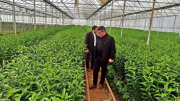 Emet'te Üreticiler İçin Simav'daki Seralara Teknik Gezi Düzenlendi