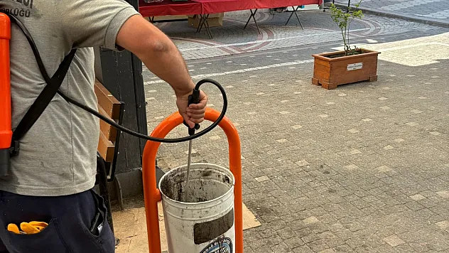 Emirdağ Belediye Ekipleri İlaçlama Yapıyor