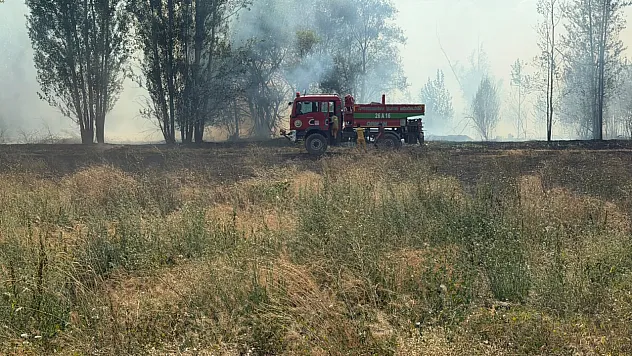 Emirdağ'da Anız Ve Ağaçlık Alanda Yangın