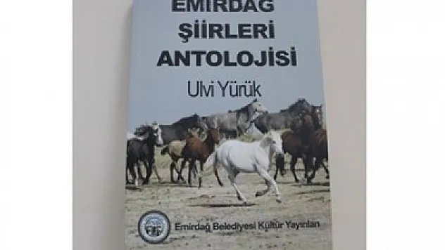 Emirdağ'da Yürük'ün şiir kitabı yayınlandı