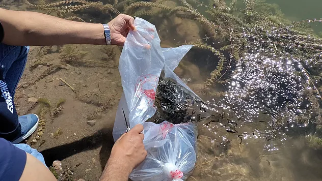Eskişehir Balıkçılığına Önemli Katkı
