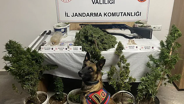 Ev Ve İşyerlerinden Neler Çıktı