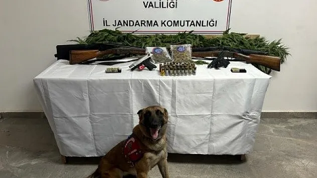 Evinin bahçesine kenevir eken şahıslar yakalandı