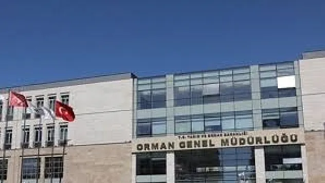 Finans Yönetim Uzmanı Alınacak