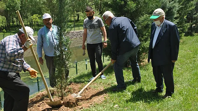 Gecek'te ağaçlandırma 'ormanlaşma'ya gidiyor