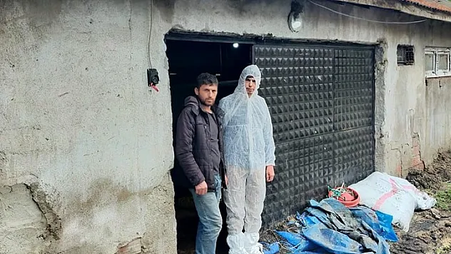 Gediz'de aşırı yağış tavuk çiftliğini vurdu