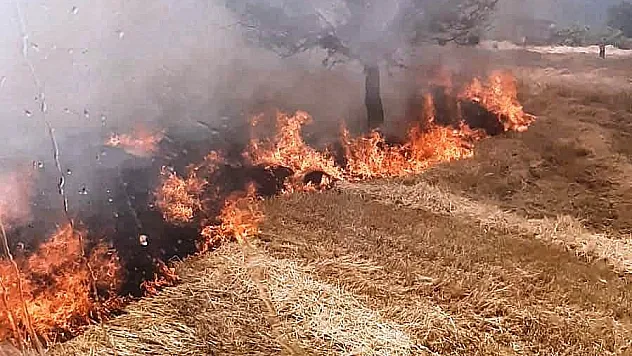 Gediz'de tarla yangını