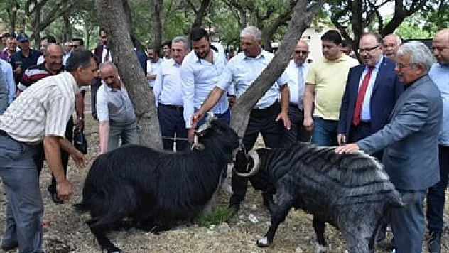 “Gelecek üretim ve tarımda” – Kocatepe Gazetesi