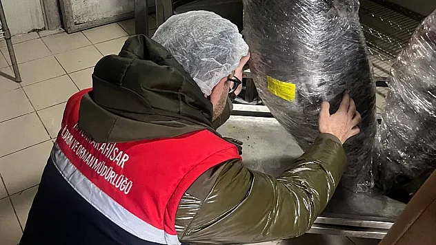 Gıda Üretim Ve Satışı Yapan İşletmelerine Yönelik Denetim