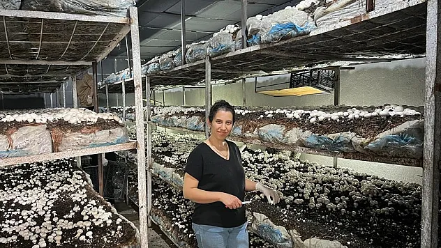 Girişimci kadın kültür mantarı üretiyor