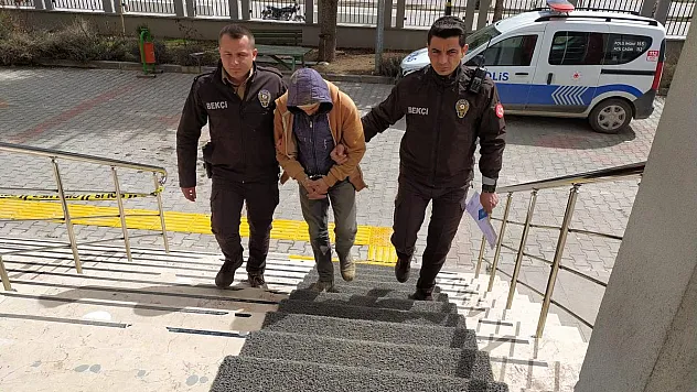 Hapis cezası vardı, bekçiler yakaladı