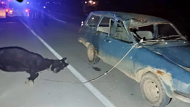 Hayatına Mal Oldu. Afyonkarahisar'da At Dehşeti!